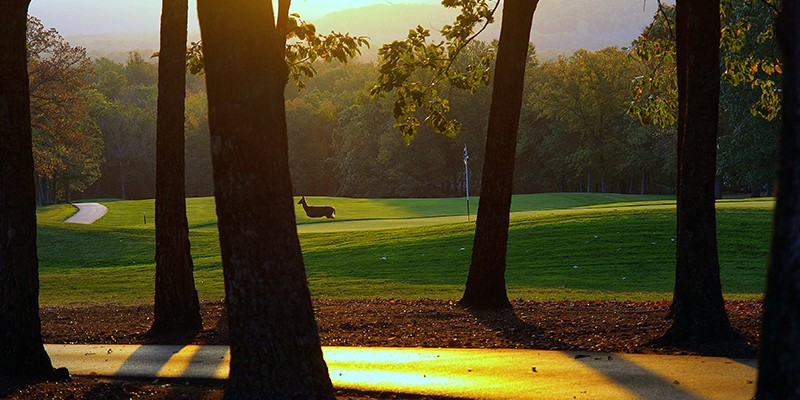 Tennessee Golf Packages